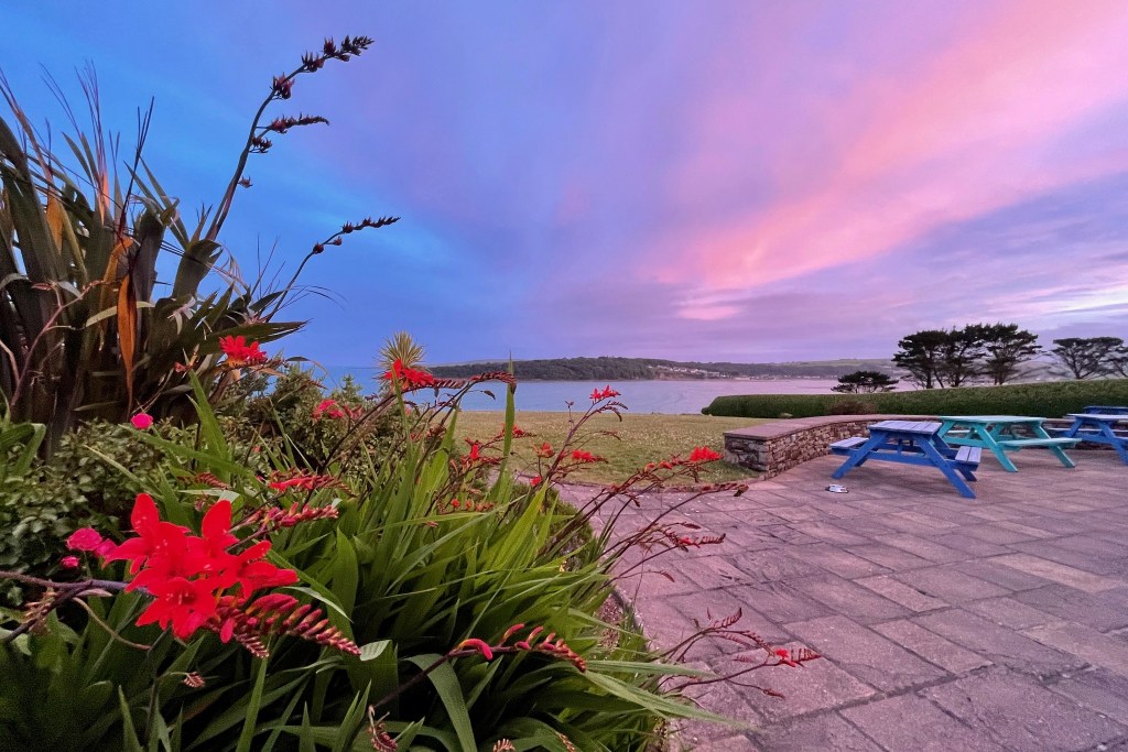 The Pink Elephant in Kilbrittain 