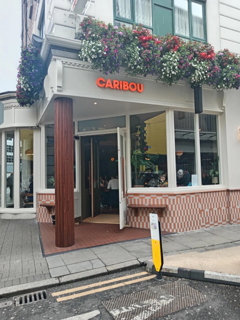 Caribou in Dublin city centre 